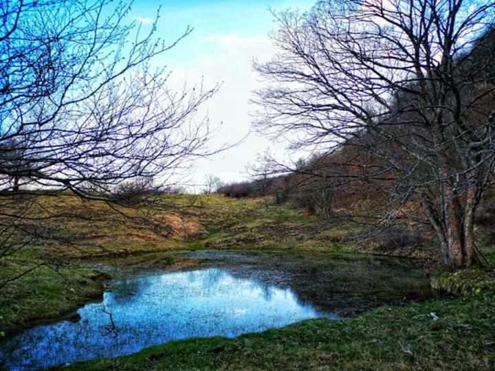 B&B Celeste Bedonia エクステリア 写真